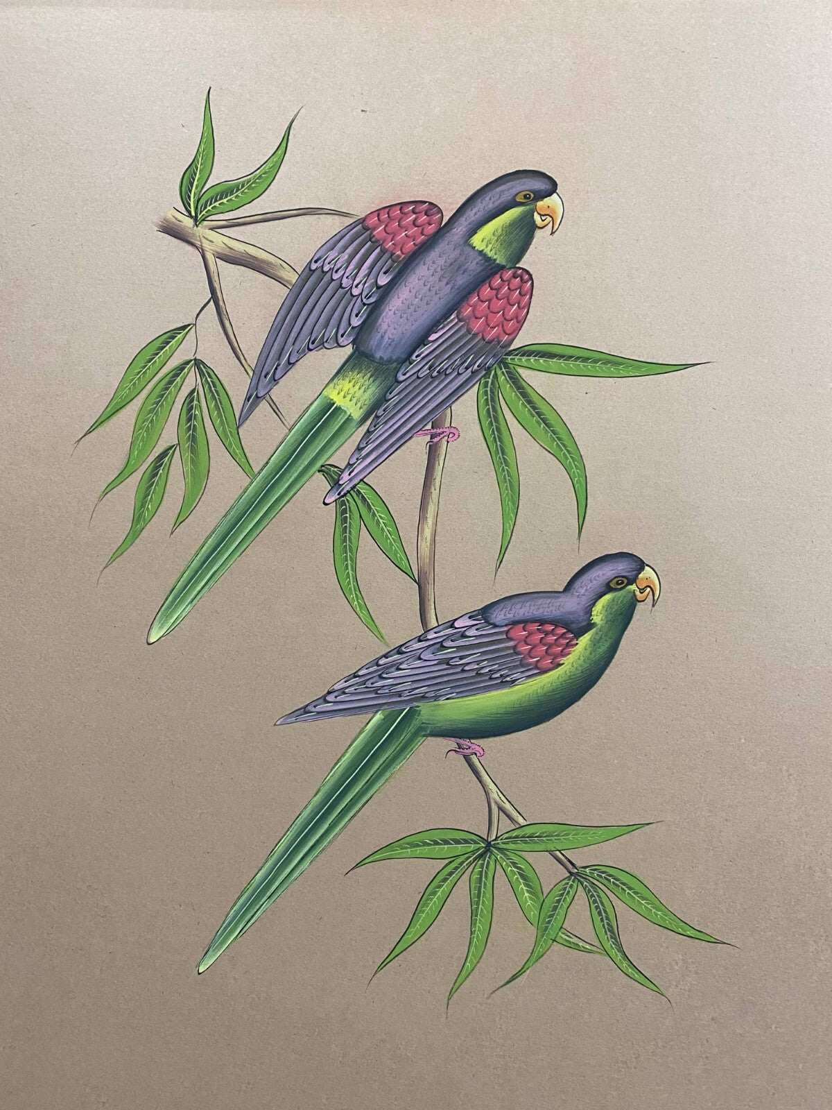 Image #4
