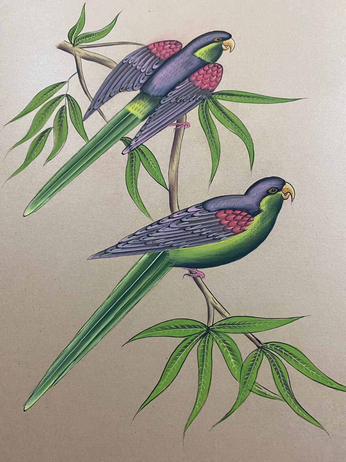 Image #6